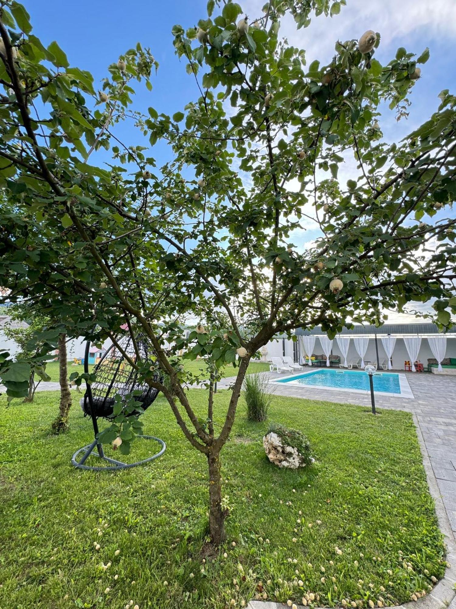 Family Estate Hadzalova Avlija Villa Bihac Bagian luar foto